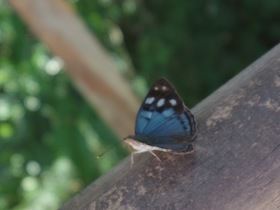 IMGP1328.JPG