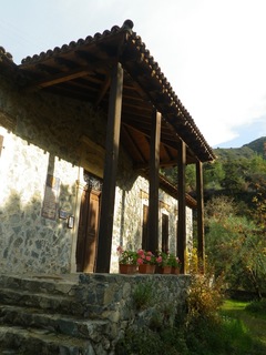 IMGP1541.jpg