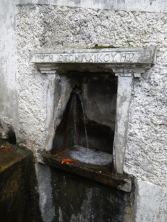 IMGP15602.jpg