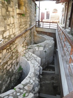IMGP1619.jpg