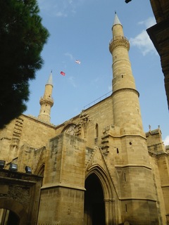 IMGP16522.jpg