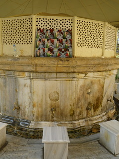 IMGP16572.jpg