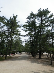 IMGP1678.jpg