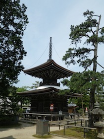 IMGP1681.jpg