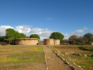 IMGP1691.jpg