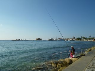 IMGP1761.jpg