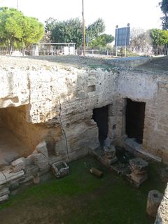 IMGP1810.jpg