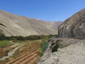 IMGP3079.JPG