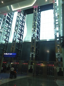 IMGP3765.jpg