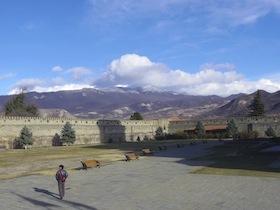 IMGP6595.jpg