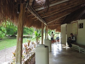 IMGP6891.JPG