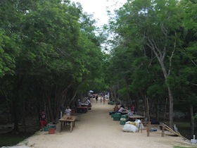 IMGP6945.JPG