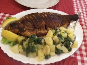 IMGP8030.JPG