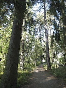 IMGP8334.jpg