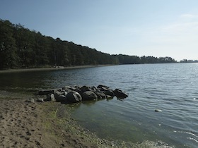 IMGP8339.jpg