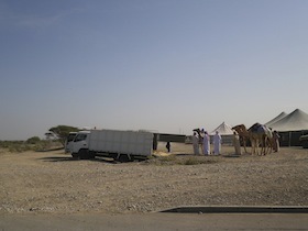 IMGP9015.jpg