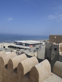 IMGP9065.jpg