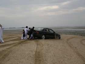 IMGP9093.JPG