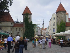 IMGP9528.JPG