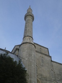 IMGP9642.jpg